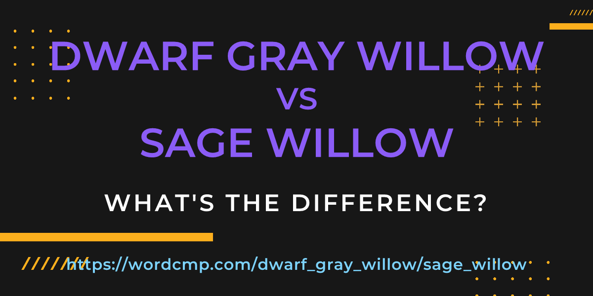 Difference between dwarf gray willow and sage willow