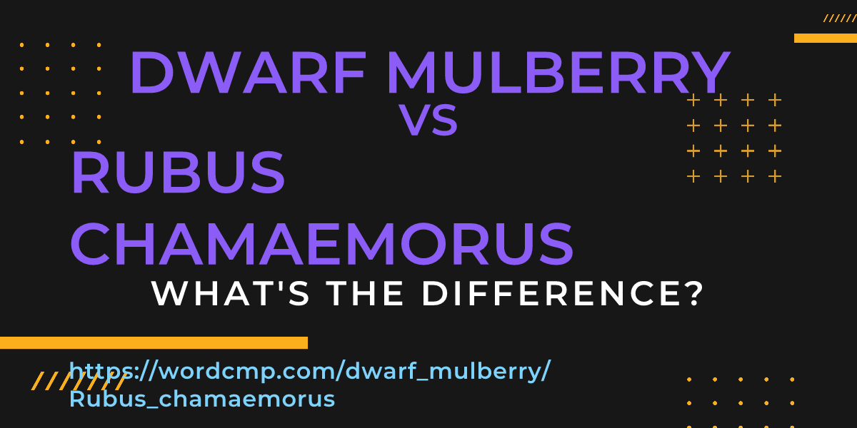 Difference between dwarf mulberry and Rubus chamaemorus