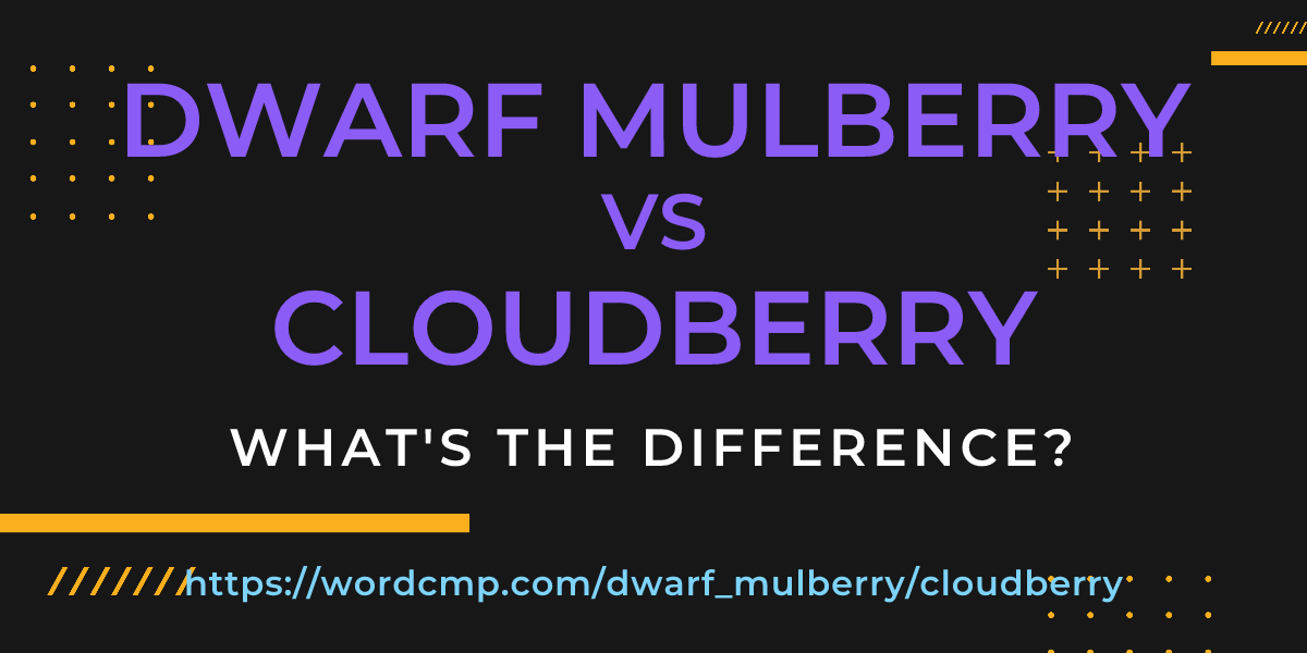 Difference between dwarf mulberry and cloudberry