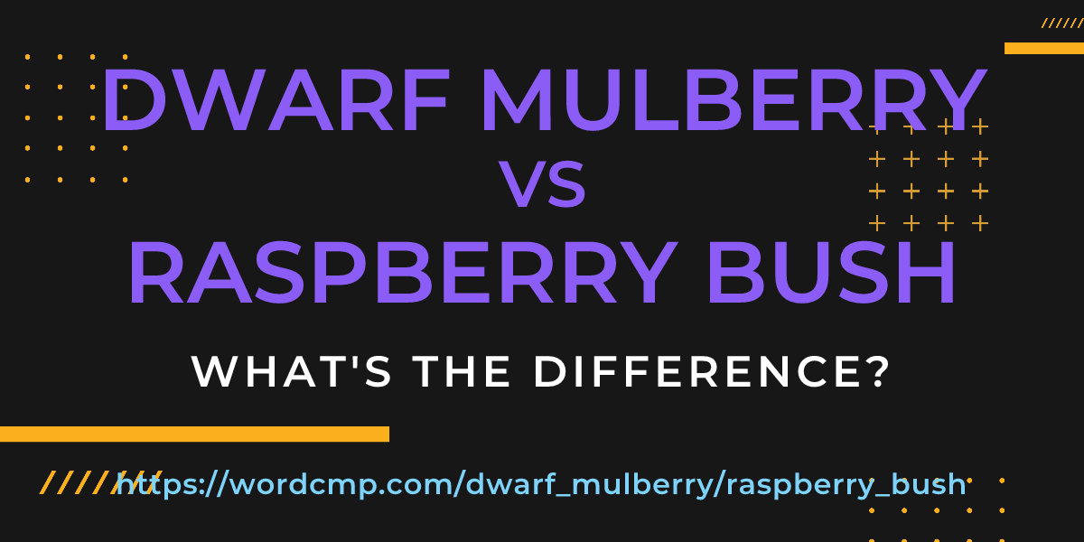 Difference between dwarf mulberry and raspberry bush
