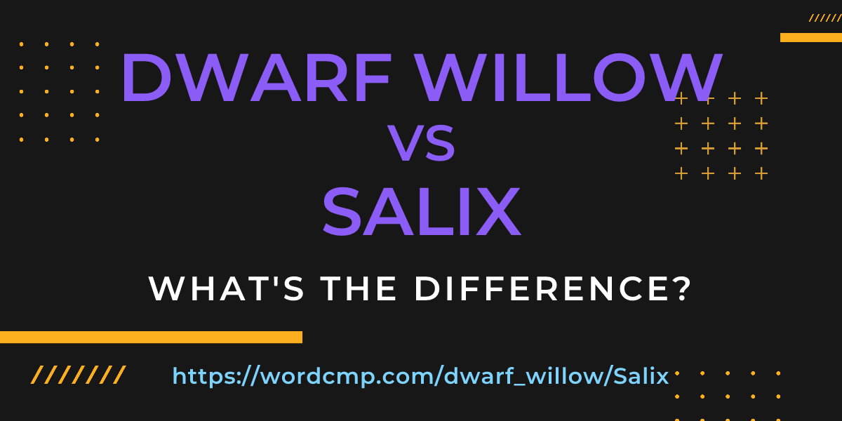 Difference between dwarf willow and Salix