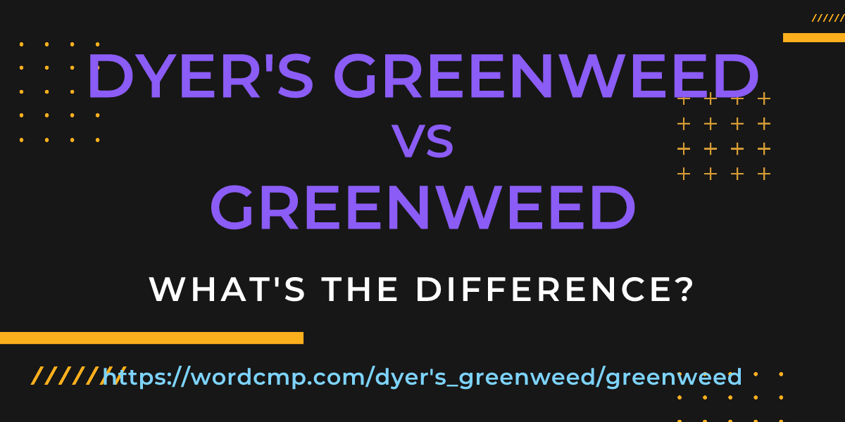 Difference between dyer's greenweed and greenweed