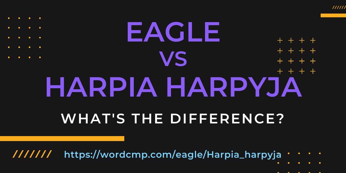 Difference between eagle and Harpia harpyja