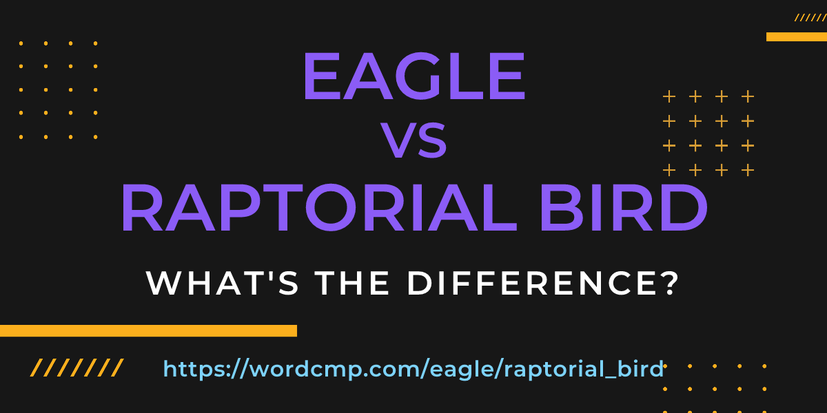 Difference between eagle and raptorial bird