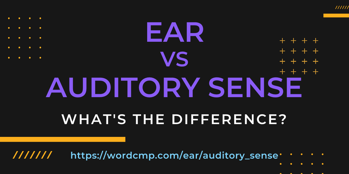 Difference between ear and auditory sense