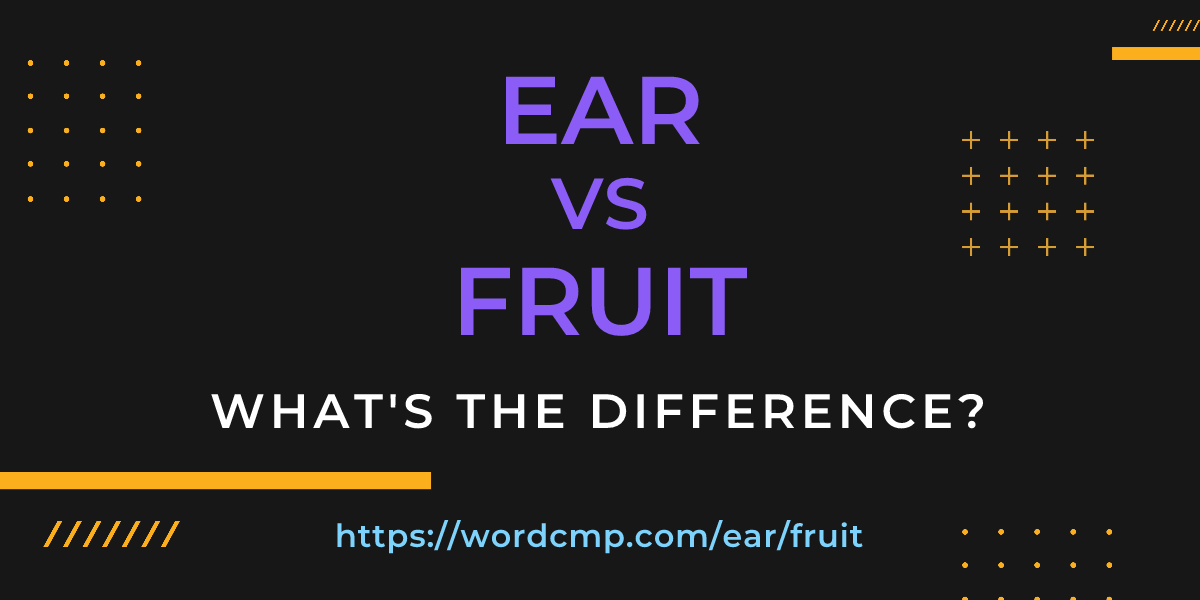 Difference between ear and fruit