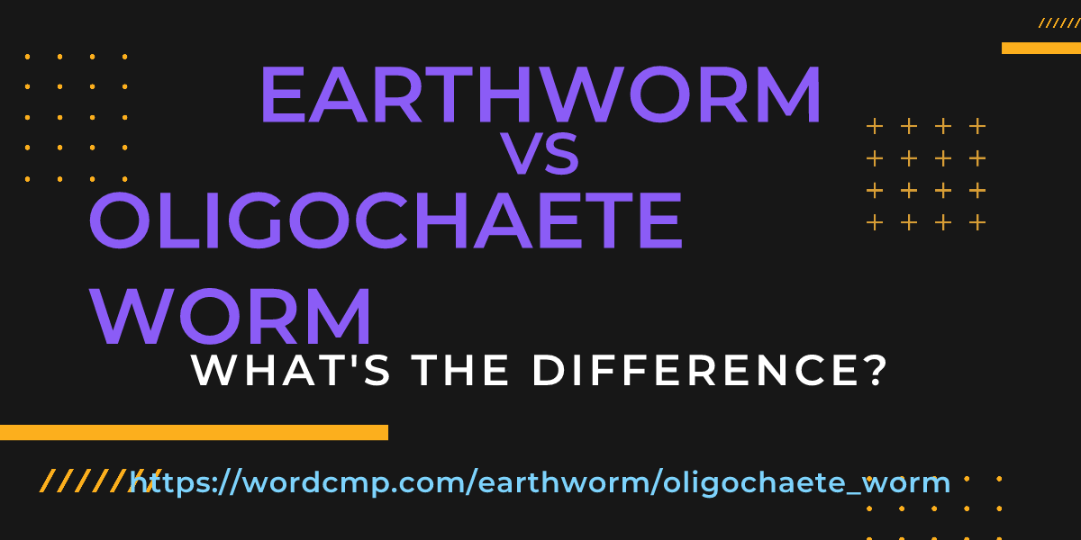 Difference between earthworm and oligochaete worm
