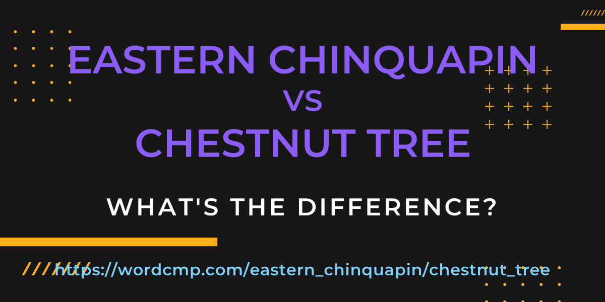 Difference between eastern chinquapin and chestnut tree