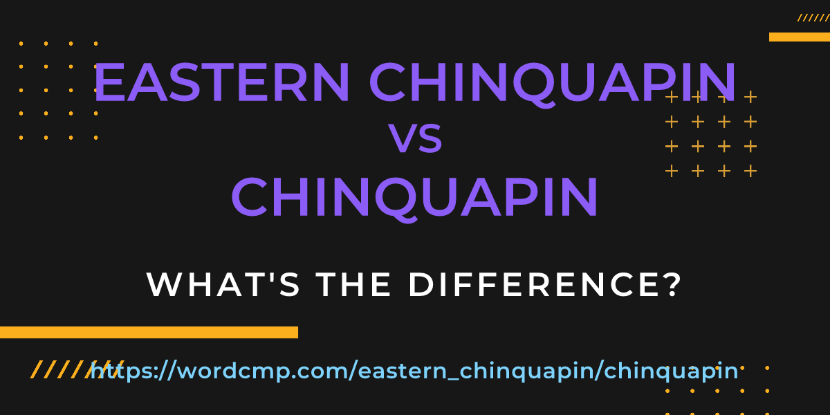 Difference between eastern chinquapin and chinquapin