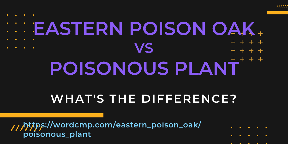 Difference between eastern poison oak and poisonous plant
