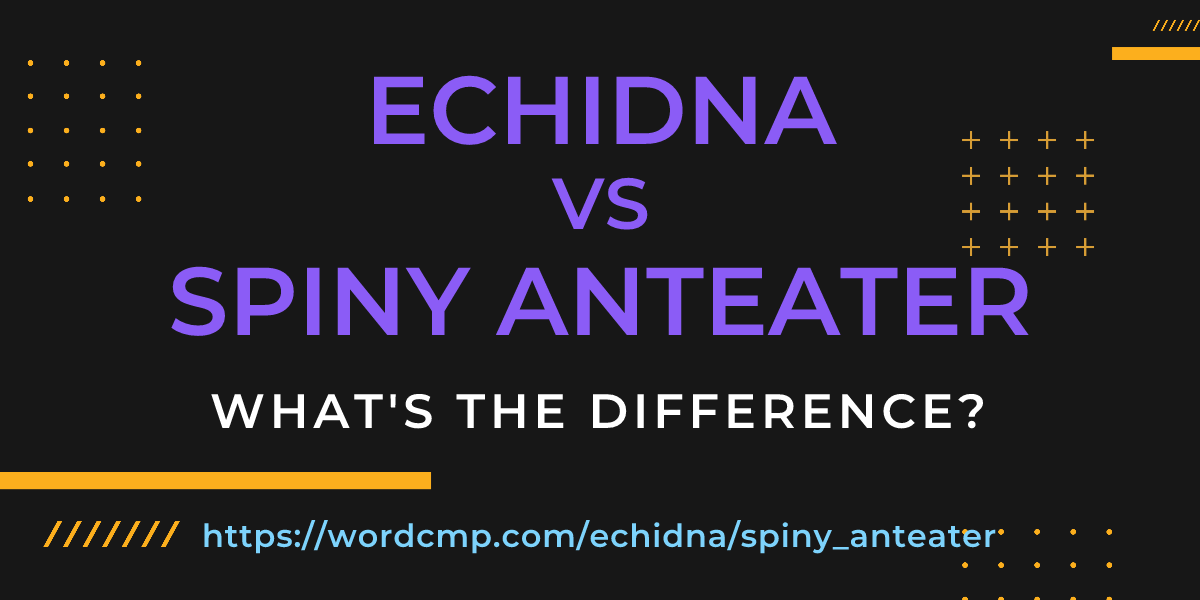 Difference between echidna and spiny anteater