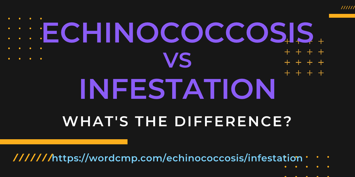 Difference between echinococcosis and infestation