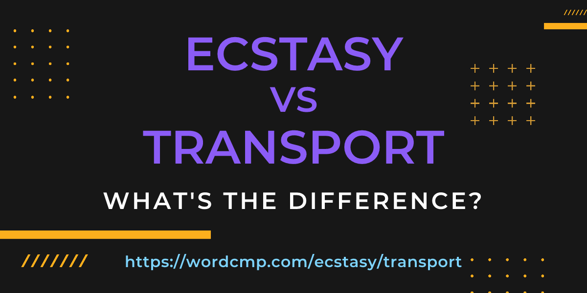 Difference between ecstasy and transport