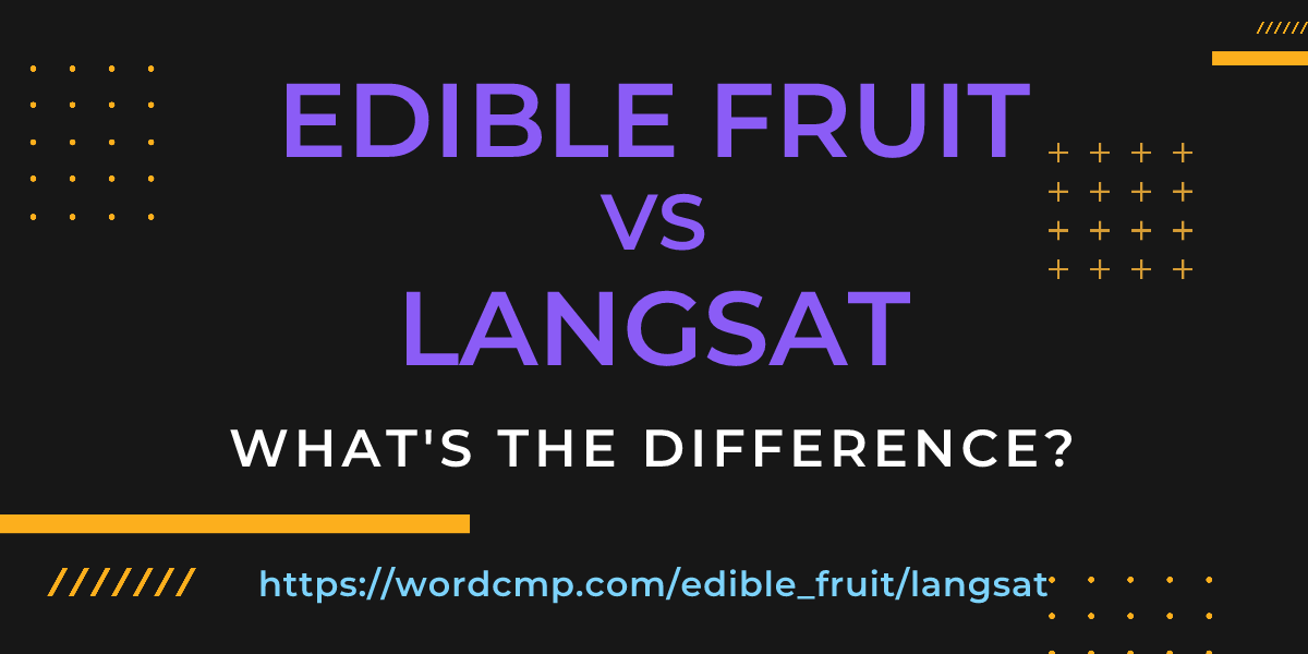 Difference between edible fruit and langsat