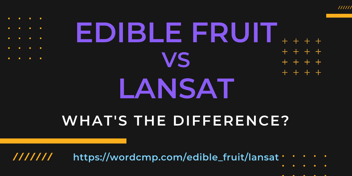 Difference between edible fruit and lansat