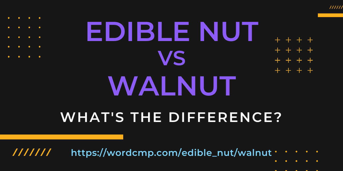Difference between edible nut and walnut