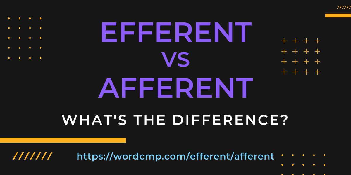 Difference between efferent and afferent