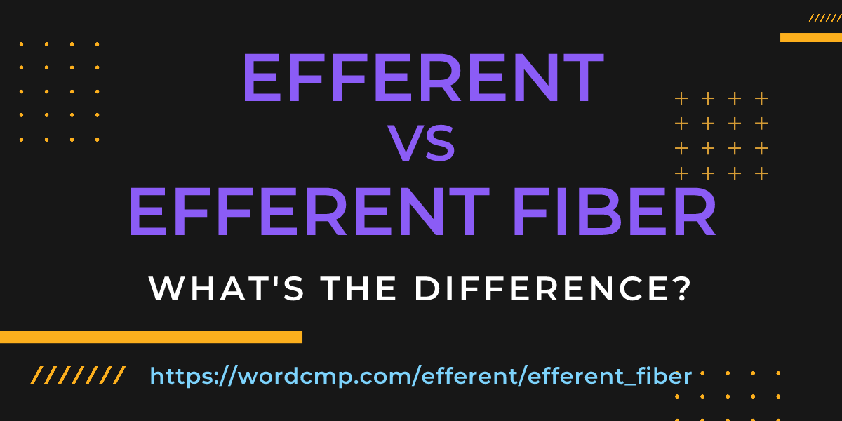 Difference between efferent and efferent fiber