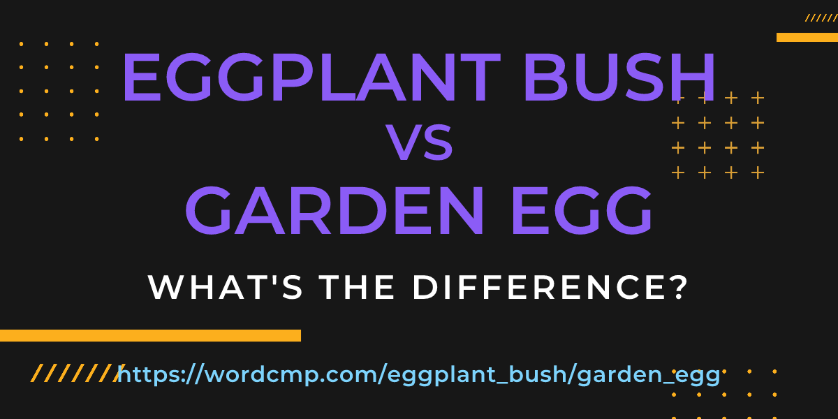 Difference between eggplant bush and garden egg