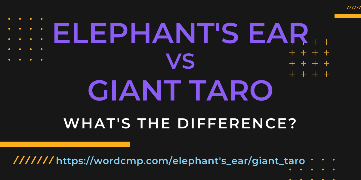 Difference between elephant's ear and giant taro