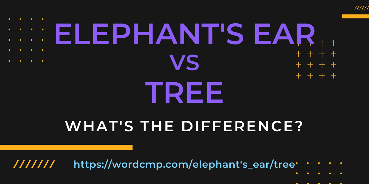 Difference between elephant's ear and tree