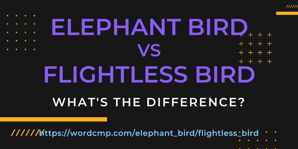 Difference between elephant bird and flightless bird