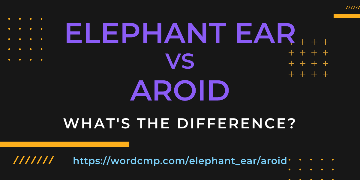 Difference between elephant ear and aroid