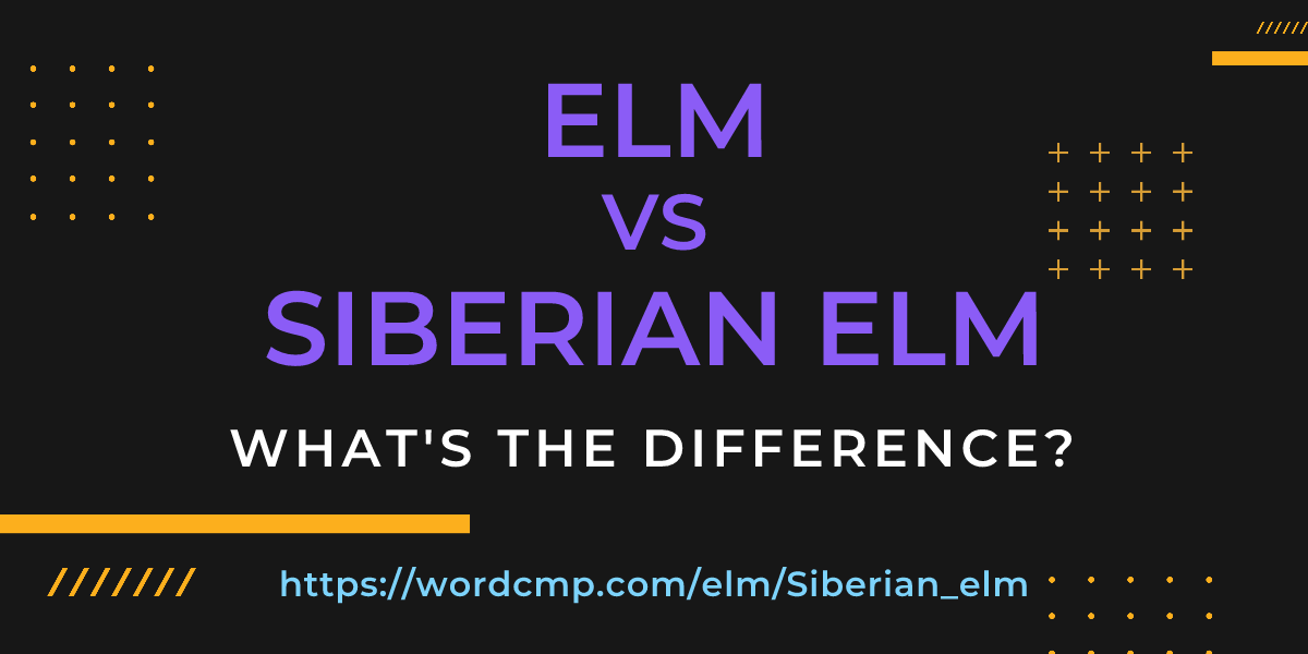 Difference between elm and Siberian elm
