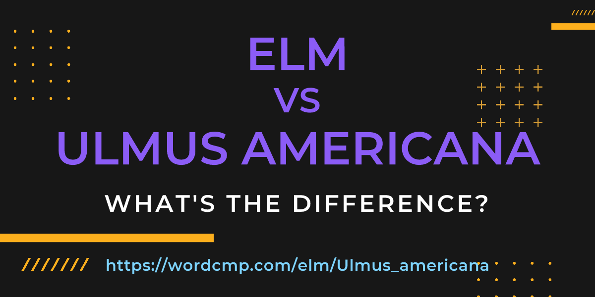 Difference between elm and Ulmus americana