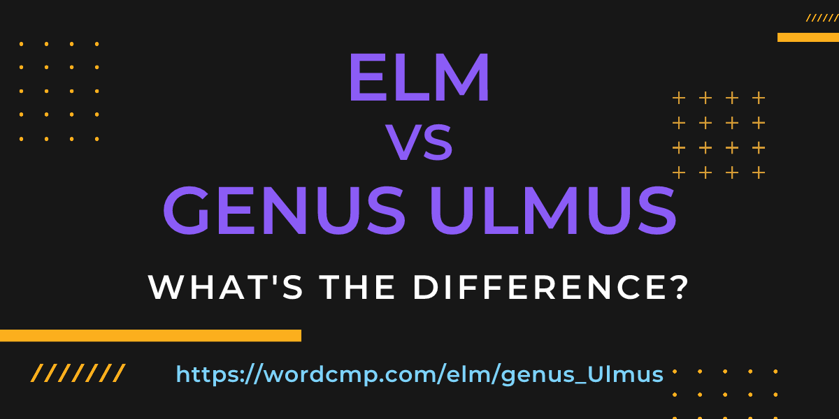 Difference between elm and genus Ulmus