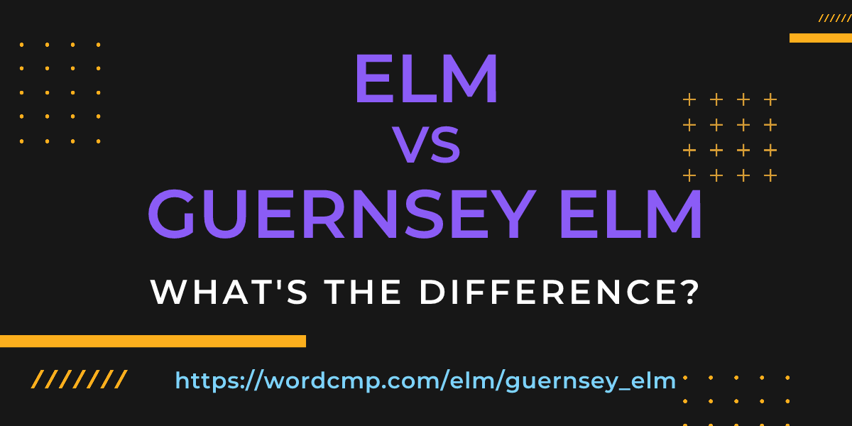 Difference between elm and guernsey elm