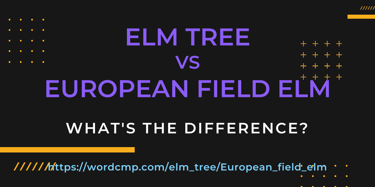 Difference between elm tree and European field elm