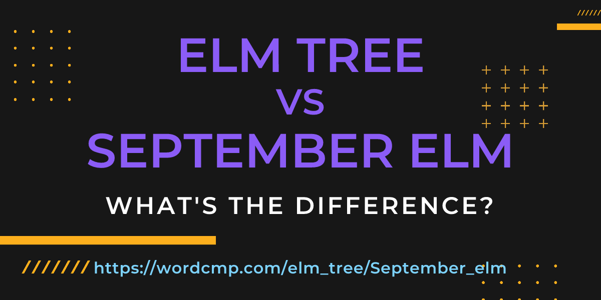 Difference between elm tree and September elm