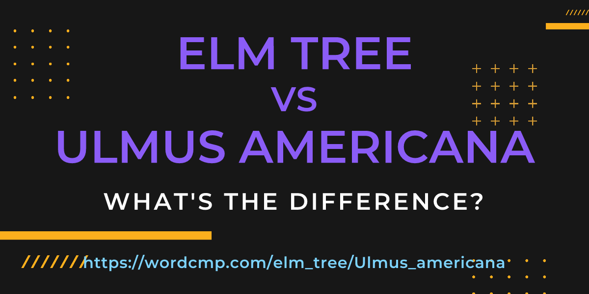Difference between elm tree and Ulmus americana