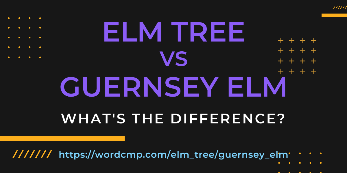 Difference between elm tree and guernsey elm