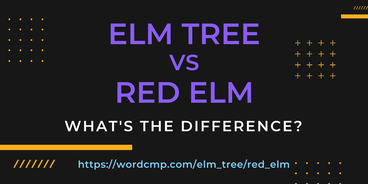 Difference between elm tree and red elm