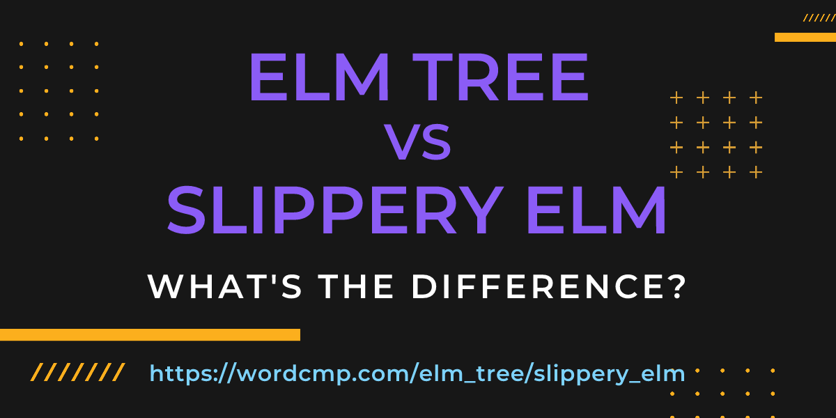 Difference between elm tree and slippery elm