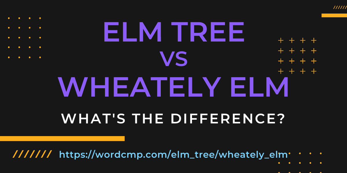 Difference between elm tree and wheately elm