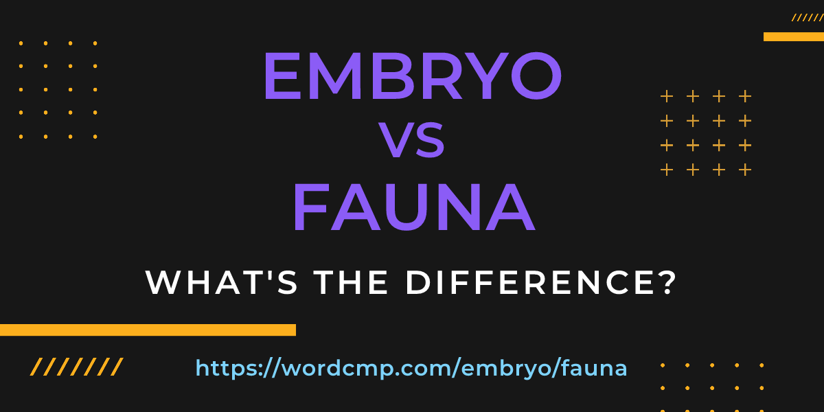 Difference between embryo and fauna