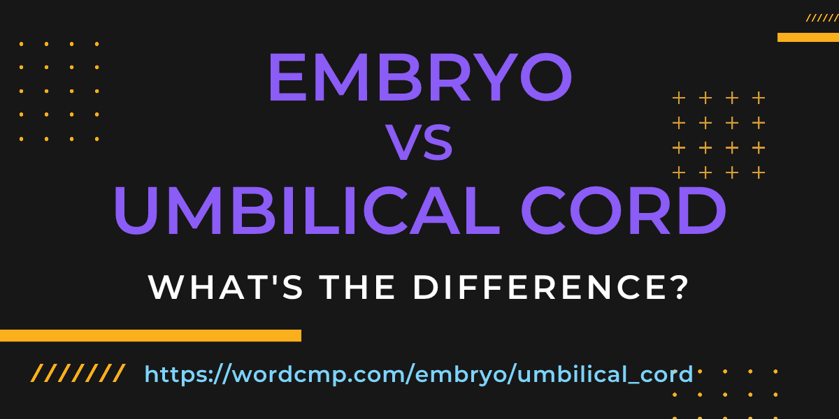 Difference between embryo and umbilical cord