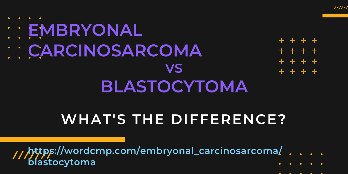 Difference between embryonal carcinosarcoma and blastocytoma
