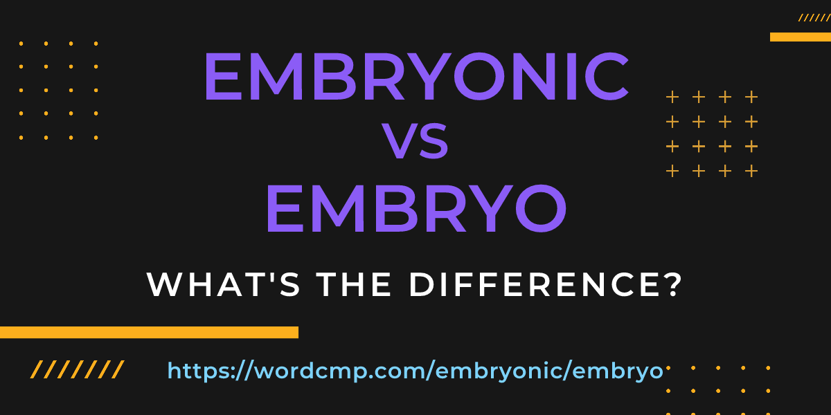 Difference between embryonic and embryo