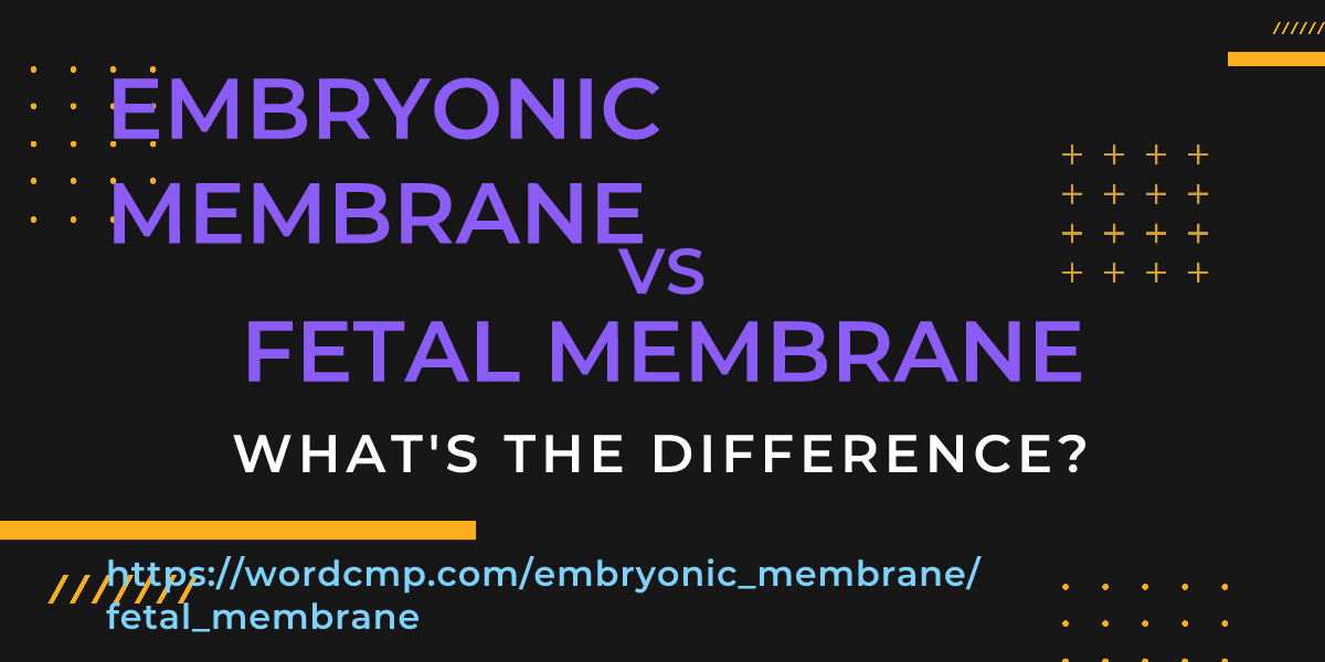 Difference between embryonic membrane and fetal membrane