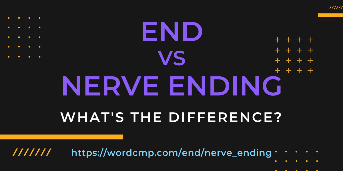 Difference between end and nerve ending