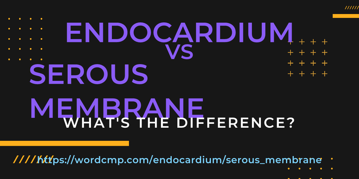 Difference between endocardium and serous membrane