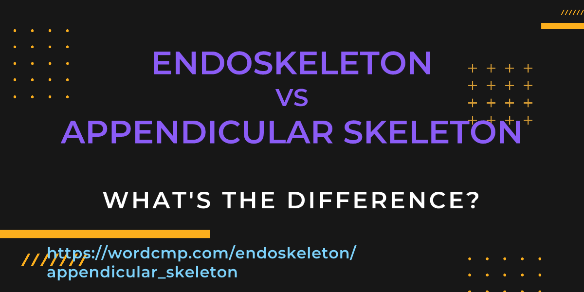 Difference between endoskeleton and appendicular skeleton