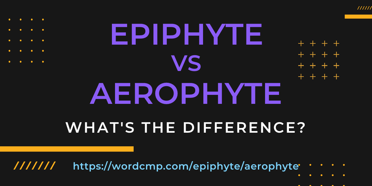 Difference between epiphyte and aerophyte