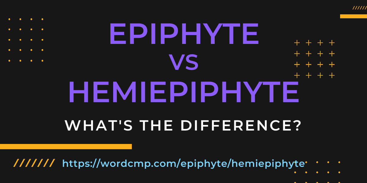 Difference between epiphyte and hemiepiphyte