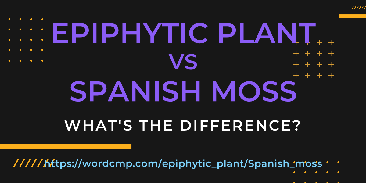 Difference between epiphytic plant and Spanish moss
