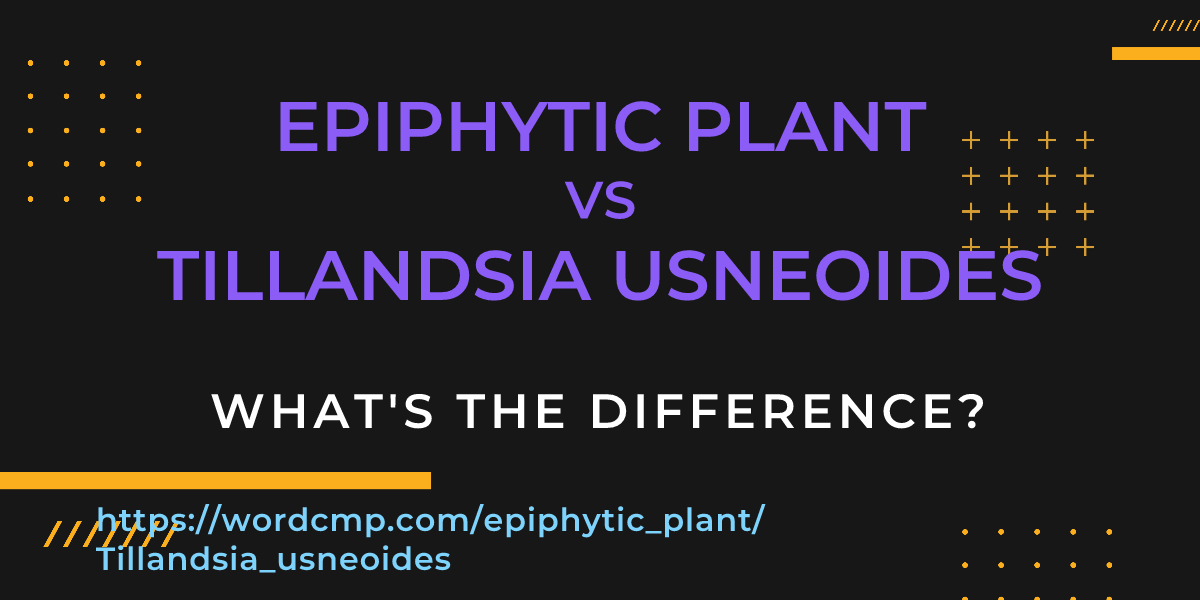 Difference between epiphytic plant and Tillandsia usneoides